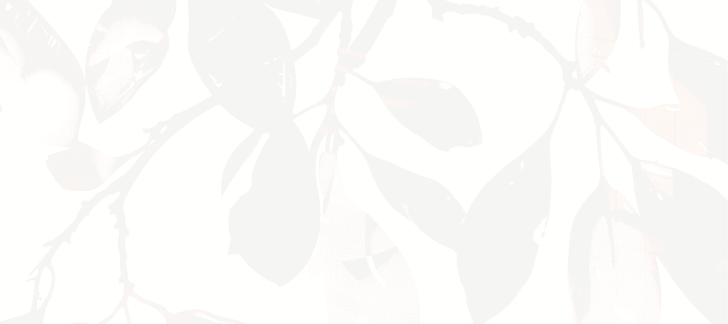 Wilderly_brand_bg (1489 x 664 px).png