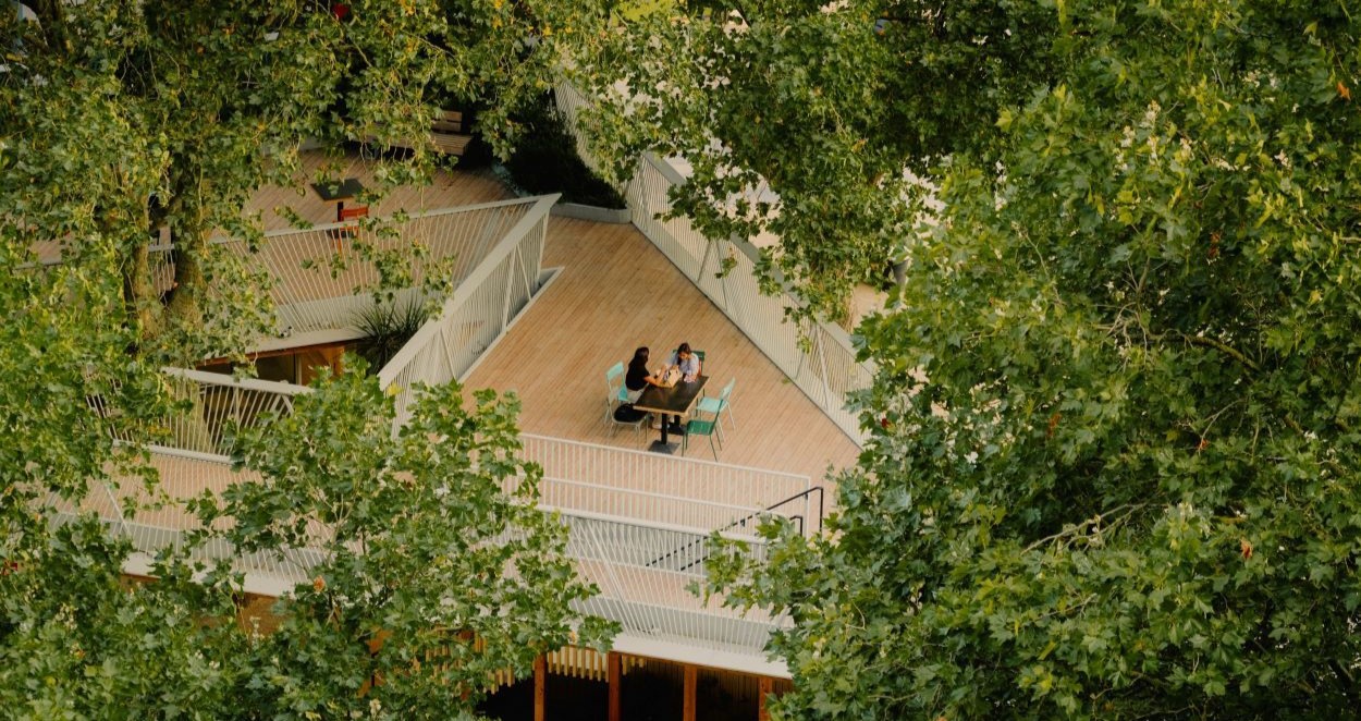 Sustainability Image