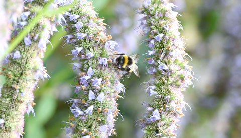 Green & Sustainable Image