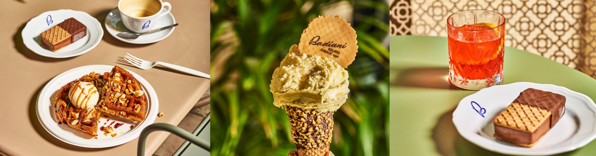 Badiani 1900x500.jpg