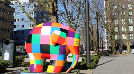 Vibrant visits Image