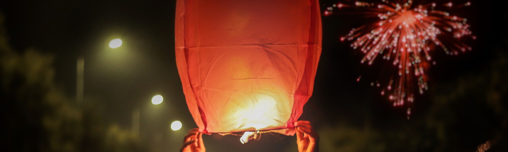 NovDiwaliFestival_1665x500.jpg
