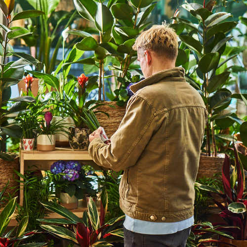 Nunhead christmas 500x500.png