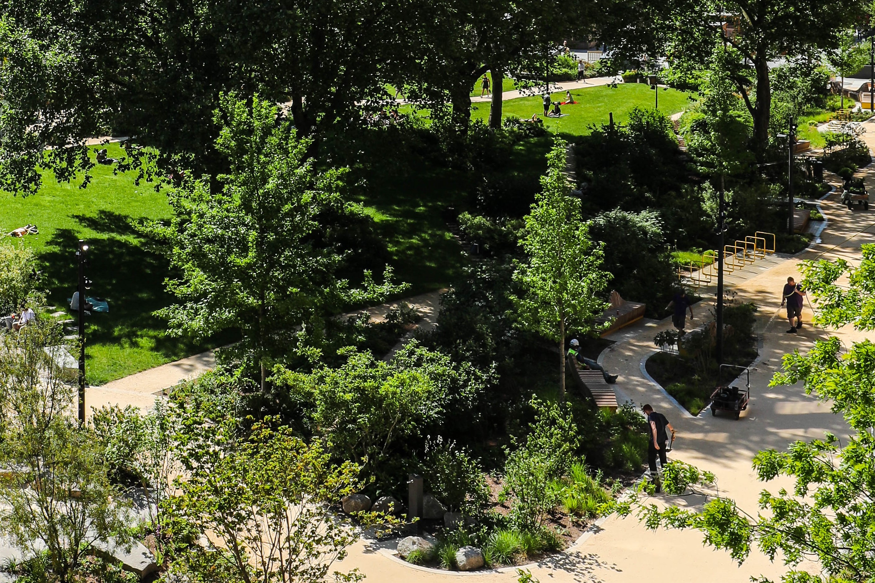 The Park.jpg
